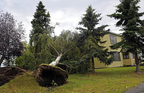 Storm Damage in Geneva